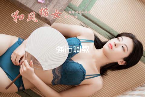 强行调教